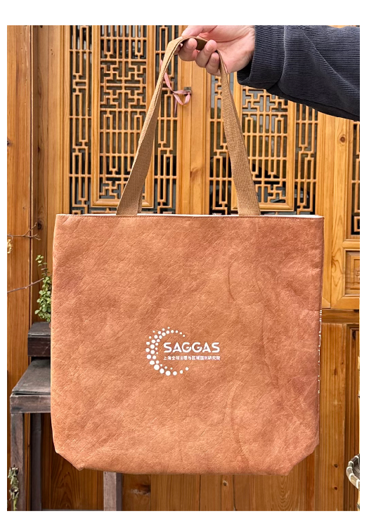 Custom Tyvek paper style bag sample